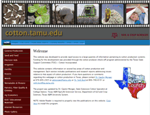 Tablet Screenshot of cottongenomics.tamu.edu
