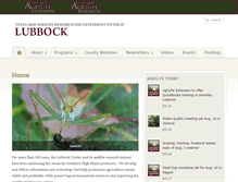 Tablet Screenshot of lubbock.tamu.edu