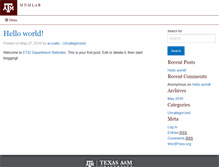 Tablet Screenshot of mnmlab.tamu.edu
