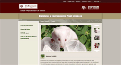 Desktop Screenshot of meps.tamu.edu
