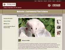Tablet Screenshot of meps.tamu.edu